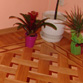  Parquet, ,   009
