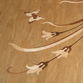 Parket, Parquet, ,   020