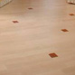 Parket, Parquet, ,    023