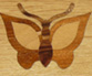 , Parket, Parquet, ,   014