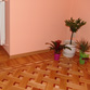 Parket, Parquet, ,    007